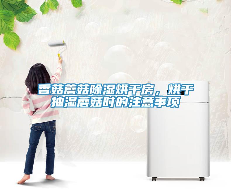 香菇蘑菇除濕烘干房，烘干抽濕蘑菇時的注意事項