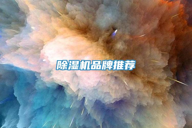 除濕機(jī)品牌推薦