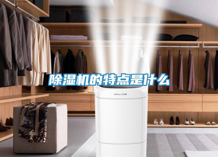 除濕機(jī)的特點(diǎn)是什么