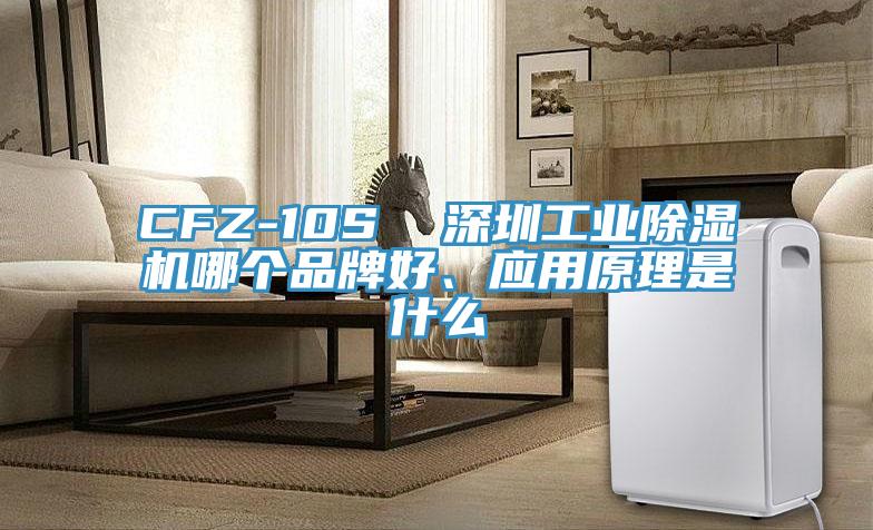 CFZ-10S  深圳工業除濕機哪個品牌好、應用原理是什么