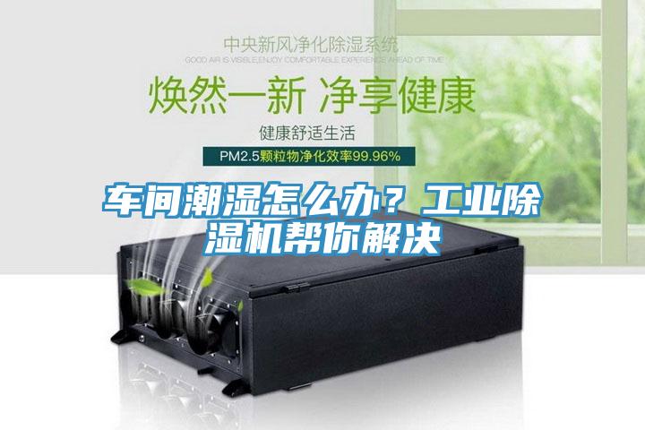 車間潮濕怎么辦？工業(yè)除濕機幫你解決