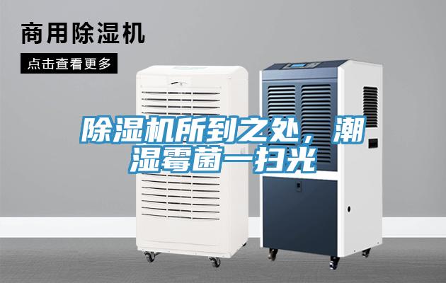 除濕機(jī)所到之處，潮濕霉菌一掃光