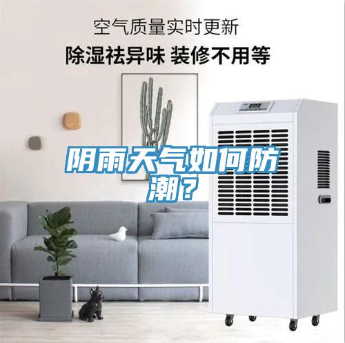 陰雨天氣如何防潮？