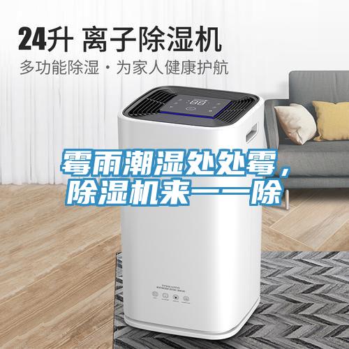 霉雨潮濕處處霉,除濕機來一一除