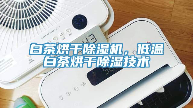 白茶烘干除濕機，低溫白茶烘干除濕技術