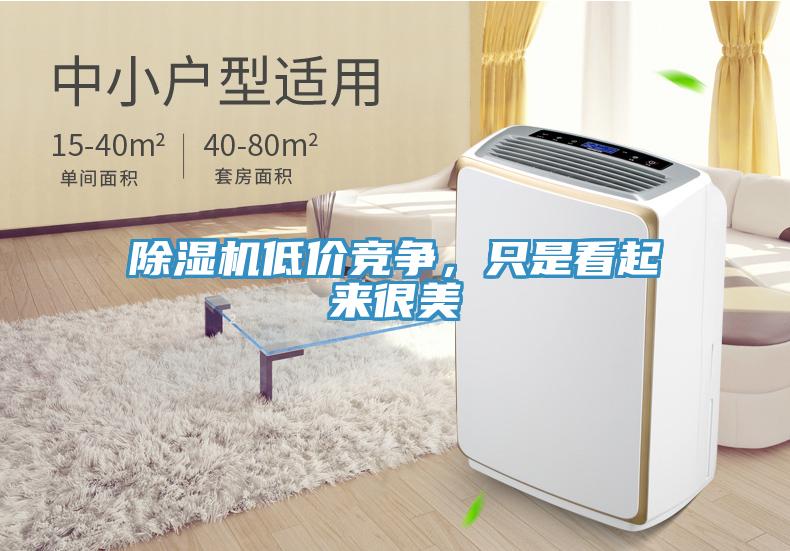 除濕機低價競爭，只是看起來很美