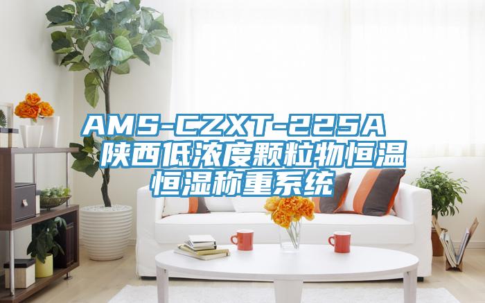 AMS-CZXT-225A 陜西低濃度顆粒物恒溫恒濕稱重系統