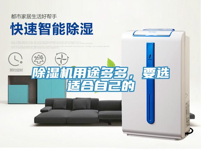 除濕機用途多多，要選適合自己的