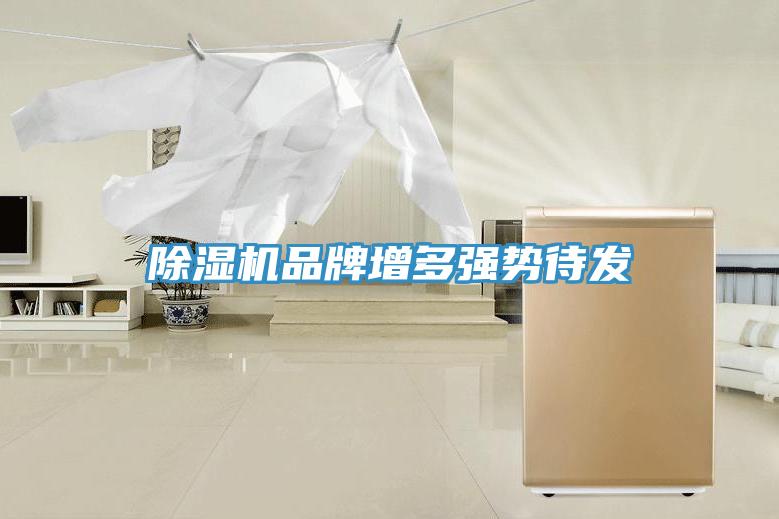 除濕機(jī)品牌增多強(qiáng)勢待發(fā)