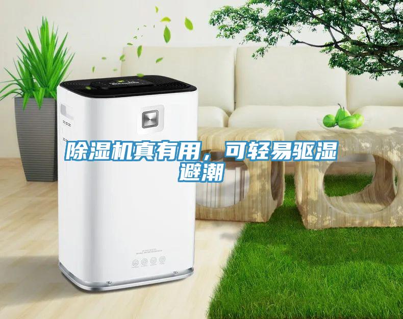 除濕機真有用，可輕易驅濕避潮