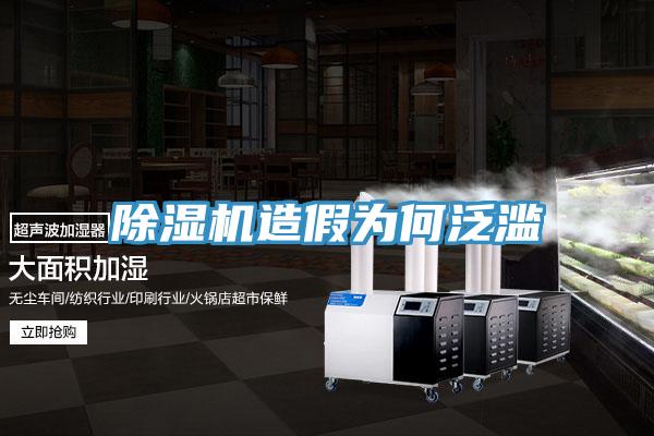 除濕機造假為何泛濫