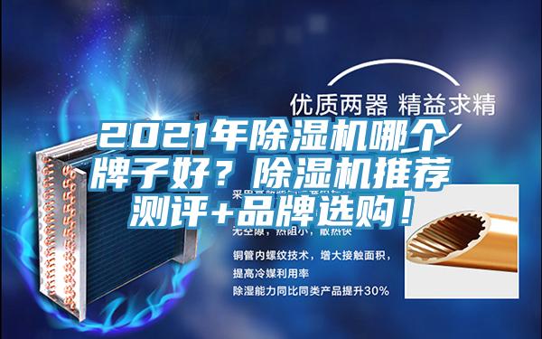 2021年除濕機哪個牌子好？除濕機推薦測評+品牌選購！