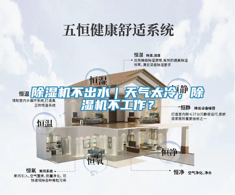 除濕機不出水｜天氣太冷，除濕機不工作？