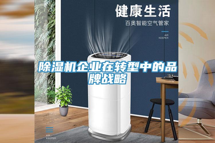除濕機企業(yè)在轉(zhuǎn)型中的品牌戰(zhàn)略