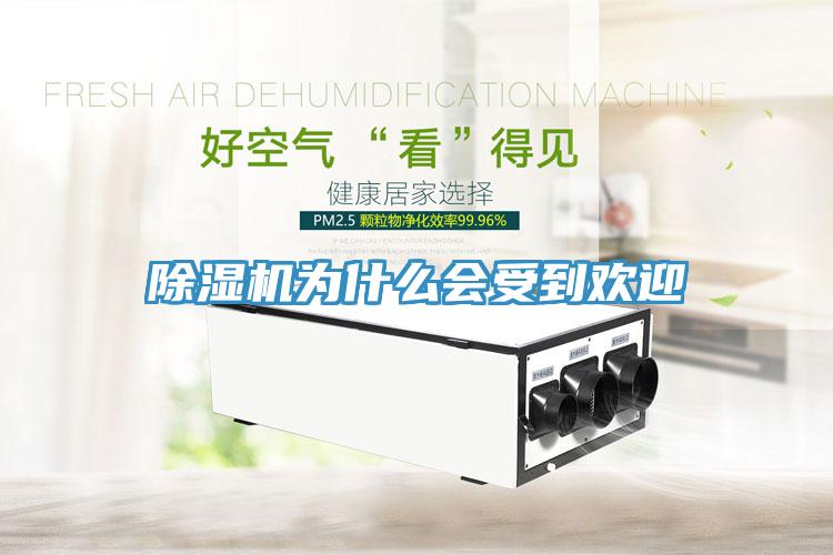 除濕機為什么會受到歡迎