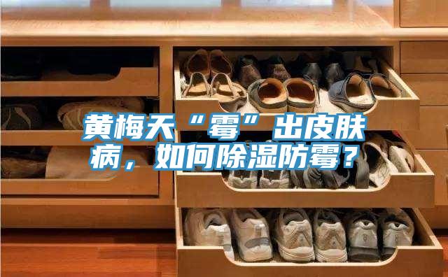 黃梅天“霉”出皮膚病，如何除濕防霉？