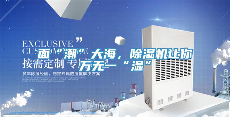 面“潮”大海,除濕機讓你萬無一“濕”