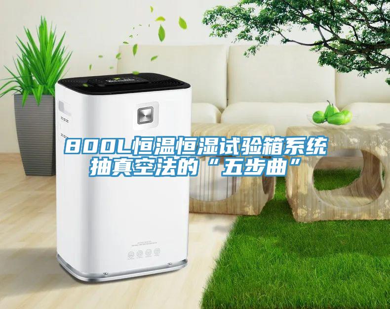 800L恒溫恒濕試驗箱系統(tǒng)抽真空法的“五步曲”