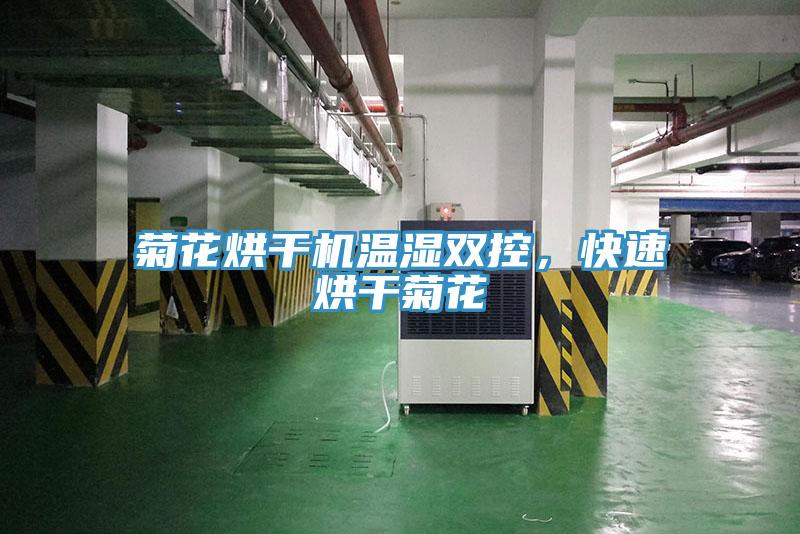 菊花烘干機溫濕雙控，快速烘干菊花