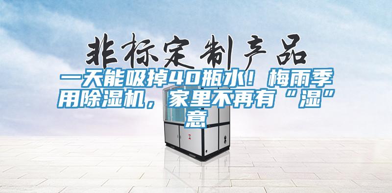一天能吸掉40瓶水！梅雨季用除濕機，家里不再有“濕”意