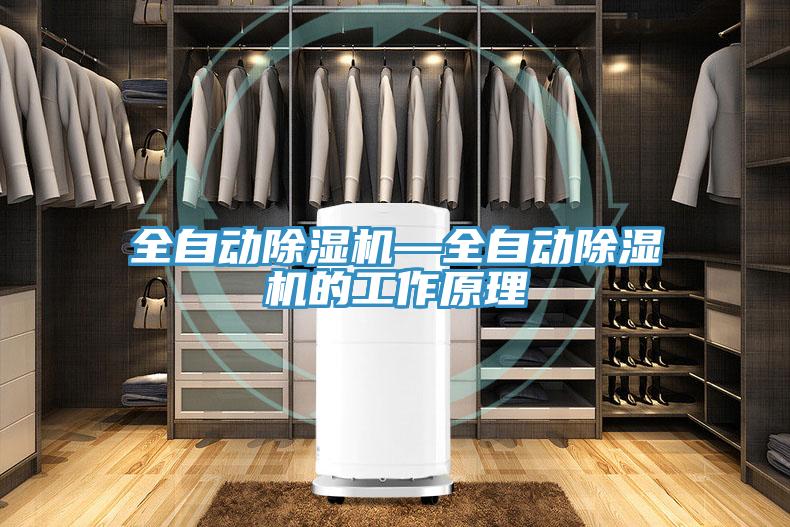 全自動除濕機—全自動除濕機的工作原理