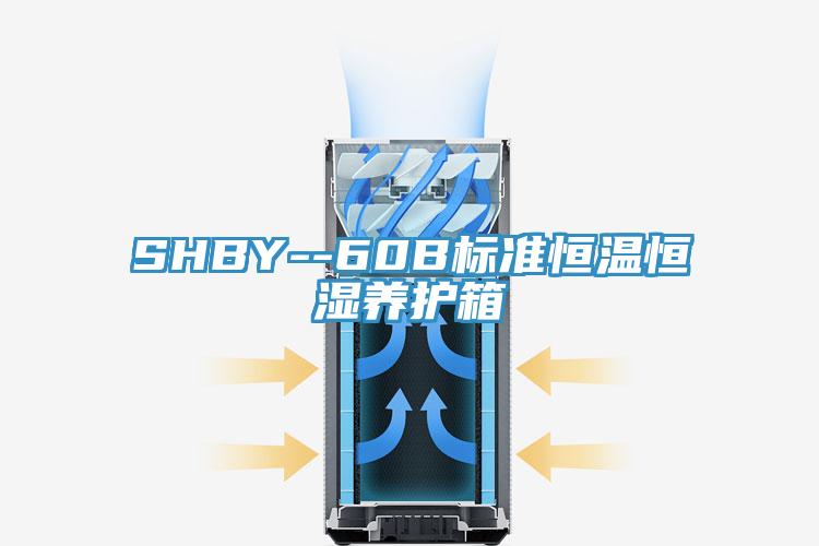 SHBY--60B標(biāo)準(zhǔn)恒溫恒濕養(yǎng)護(hù)箱