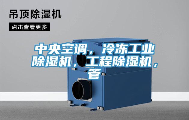 中央空調(diào)，冷凍工業(yè)除濕機，工程除濕機，管