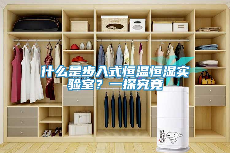 什么是步入式恒溫恒濕實(shí)驗(yàn)室?一探究竟