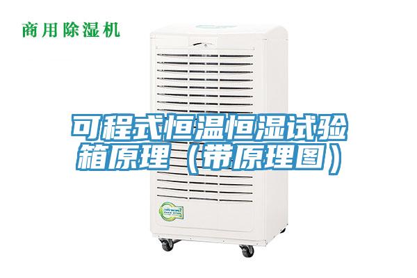 可程式恒溫恒濕試驗箱原理(帶原理圖)