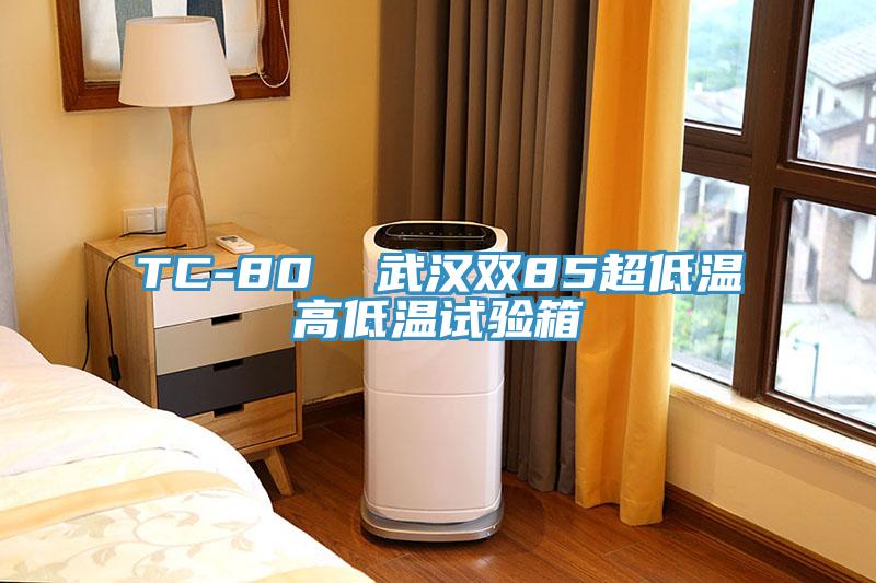 TC-80 武漢雙85超低溫高低溫試驗箱