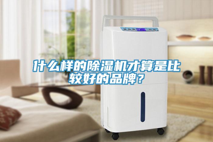 什么樣的除濕機才算是比較好的品牌?