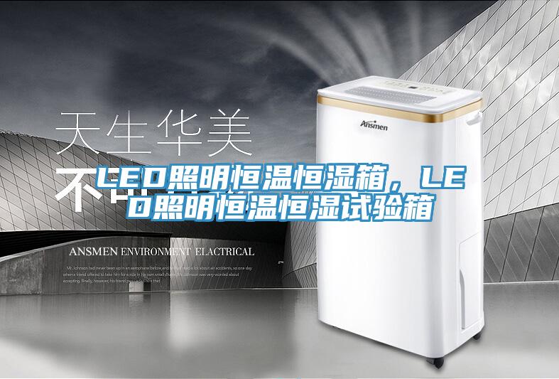 LED照明恒溫恒濕箱,LED照明恒溫恒濕試驗箱
