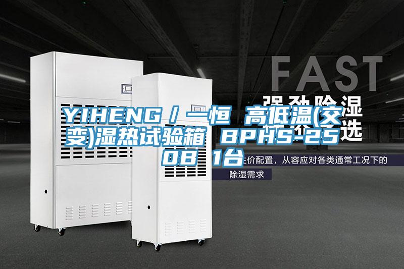 YIHENG／一恒 高低溫(交變)濕熱試驗(yàn)箱 BPHS-250B 1臺(tái)