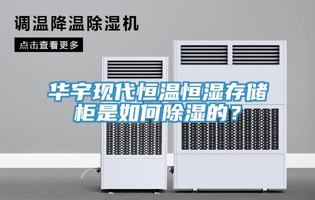 華宇現代恒溫恒濕存儲柜是如何除濕的？