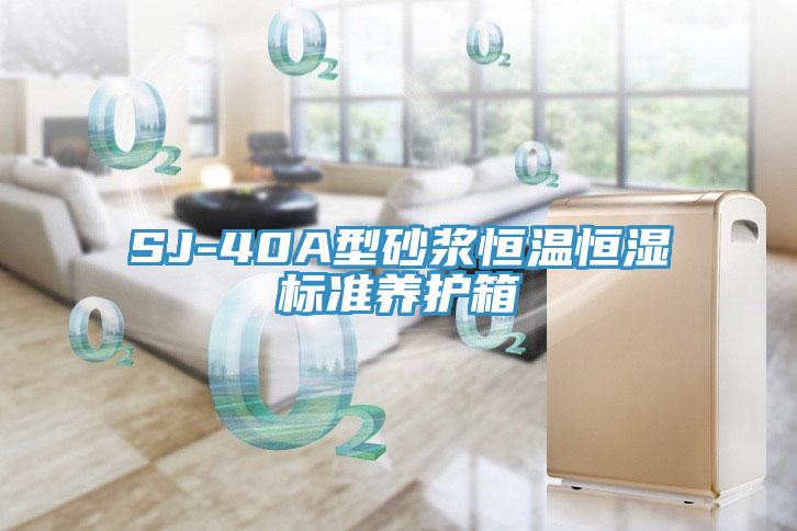 SJ-40A型砂漿恒溫恒濕標(biāo)準(zhǔn)養(yǎng)護(hù)箱