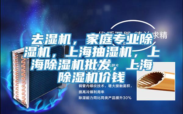 去濕機,家庭專業除濕機,上海抽濕機,上海除濕機批發,上海除濕機價錢