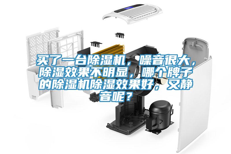 買了一臺除濕機，噪音很大，除濕效果不明顯，哪個牌子的除濕機除濕效果好，又靜音呢？