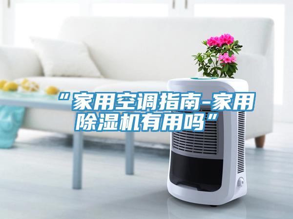 “家用空調指南-家用除濕機有用嗎”