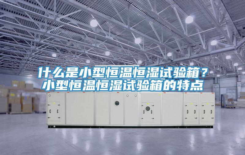 什么是小型恒溫恒濕試驗箱？小型恒溫恒濕試驗箱的特點