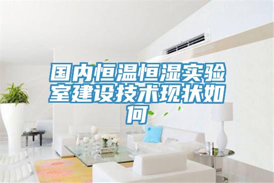 國內(nèi)恒溫恒濕實驗室建設(shè)技術(shù)現(xiàn)狀如何
