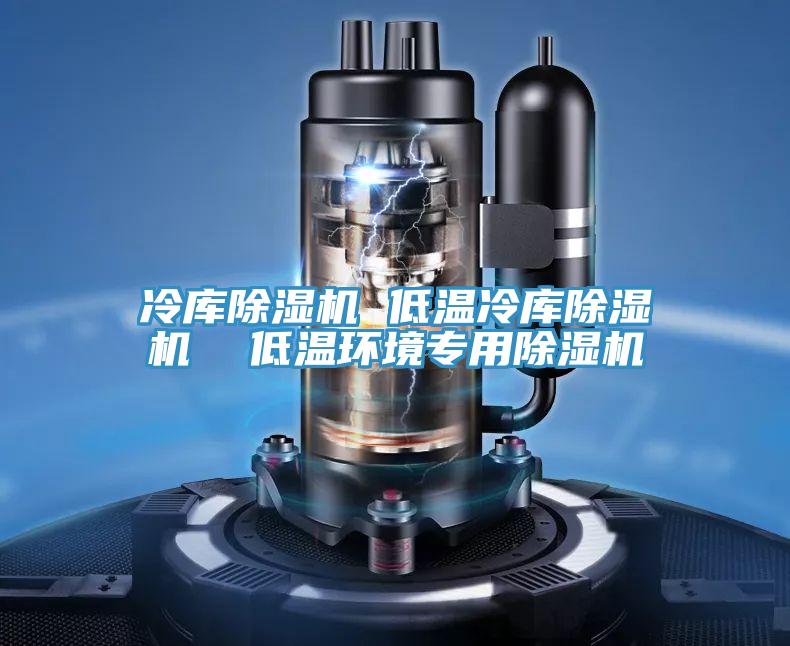 冷庫(kù)除濕機(jī) 低溫冷庫(kù)除濕機(jī) 低溫環(huán)境專用除濕機(jī)