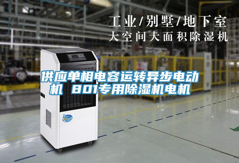 供應(yīng)單相電容運(yùn)轉(zhuǎn)異步電動機(jī) 801專用除濕機(jī)電機(jī)