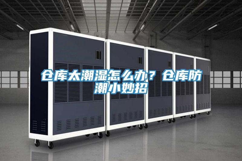 倉(cāng)庫(kù)太潮濕怎么辦?倉(cāng)庫(kù)防潮小妙招
