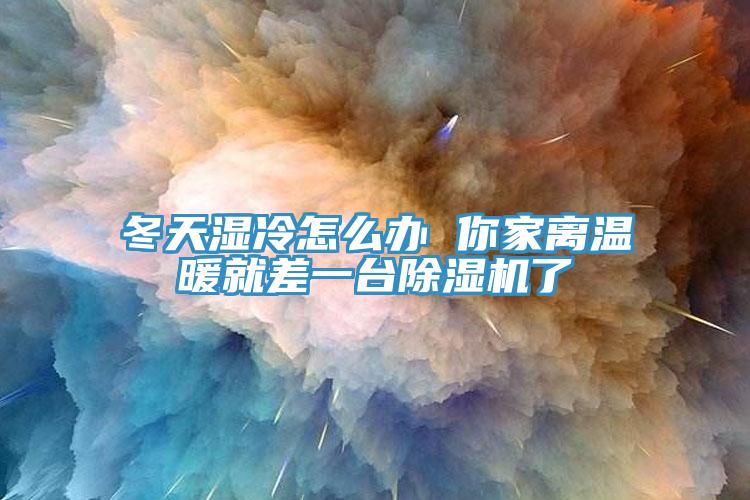 冬天濕冷怎么辦 你家離溫暖就差一臺(tái)除濕機(jī)了