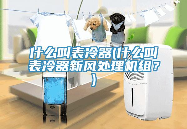 什么叫表冷器(什么叫表冷器新風處理機組？)