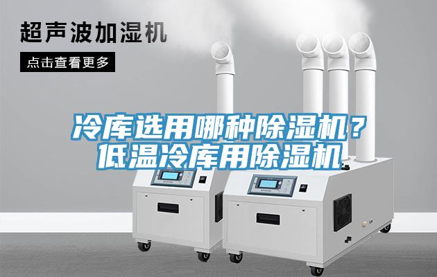 冷庫選用哪種除濕機?低溫冷庫用除濕機