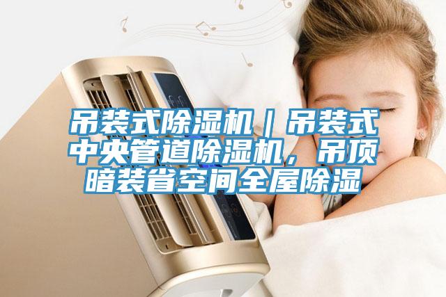 吊裝式除濕機|吊裝式中央管道除濕機,吊頂暗裝省空間全屋除濕