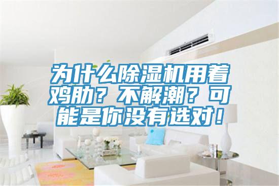 為什么除濕機(jī)用著雞肋？不解潮？可能是你沒有選對(duì)！