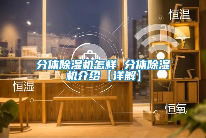 分體除濕機(jī)怎樣 分體除濕機(jī)介紹【詳解】