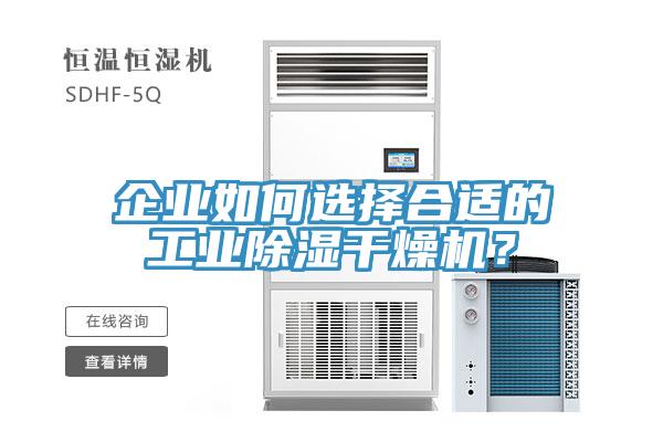 企業如何選擇合適的工業除濕干燥機？